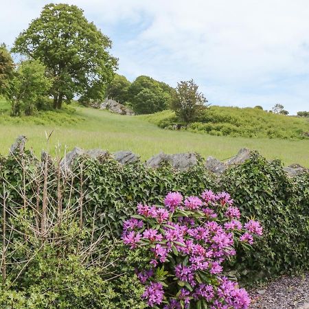 Vila Penrhyddion Ucha Capel Garmon Exteriér fotografie